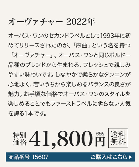 商品10