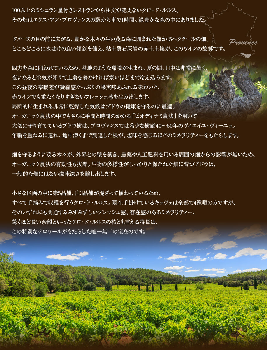 プロヴァンスの秘宝　クロ・ド・ルルス