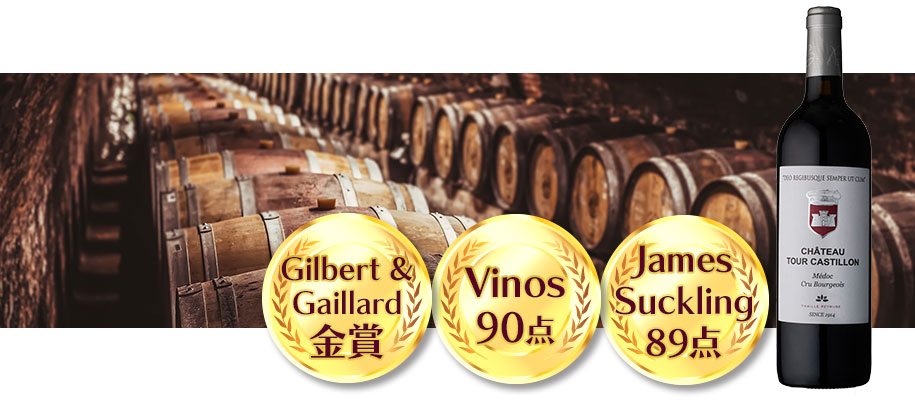 シャトー・トゥール・カスティヨン【2019】（750ml）