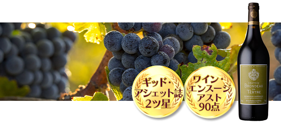 シャトー・ブロンノー・デュ・テルトル【2020】（750ml）