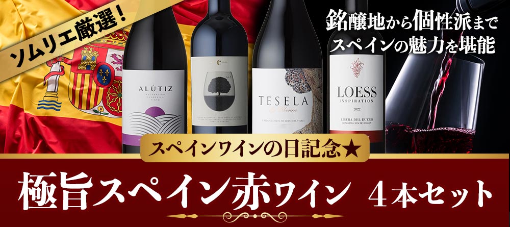 スペインワインの日記念★極旨スペイン赤ワイン4本セット