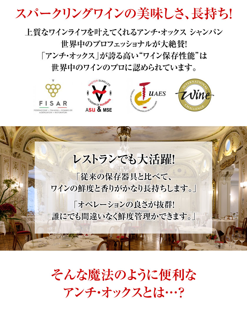 アンチオックス詳細