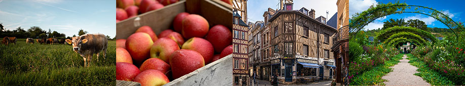 ノルマンディー