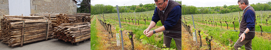 ミュゼ・デュ・ヴァン・エ・デュ・ネゴス・ド・ボルドー