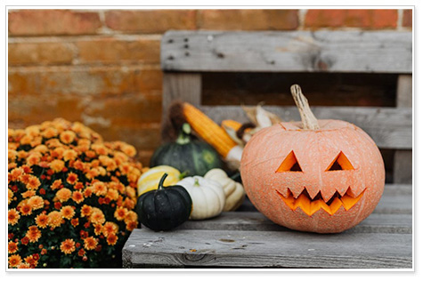 秋のお散歩にいかが？フランスの個性的なお墓めぐり