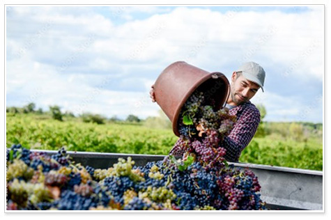 日本と比較したフランスの休暇
