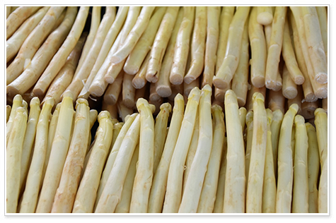 春を告げるホワイトアスパラ