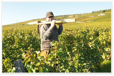 ミュゼ・デュ・ヴァン ワインが学べる博物館