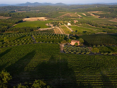 ラ・マスカロンヌ