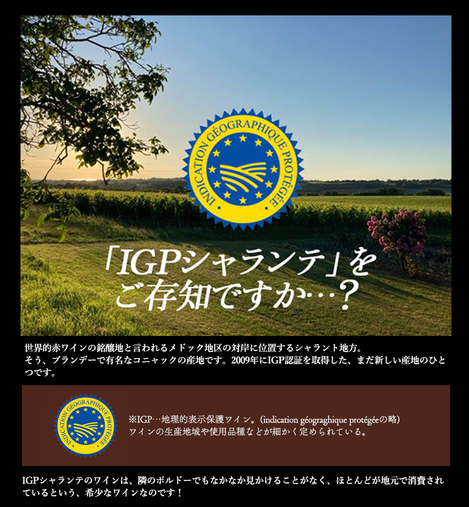 希少なシャランテのワイン