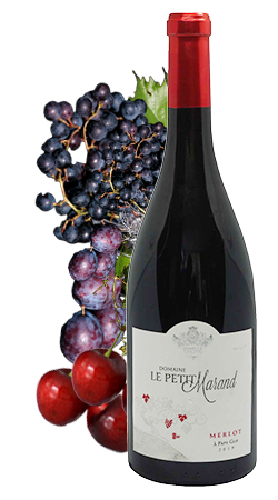 ル・プティ・マラン　キュヴェ・パピィ・ガイ
