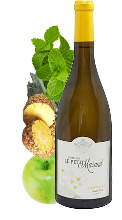 ル・プティ・マラン　キュヴェ・エリーズ