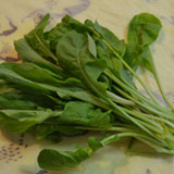 野菜を洗います