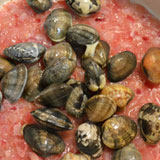 アサリを加えます