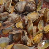 アサリをお皿に移します