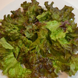 サニーレタスを盛り付けます