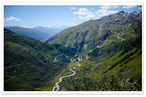 ローヌのブドウ畑