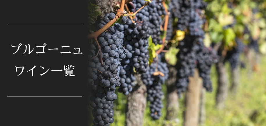 ブルゴーニュワイン一覧。ワインの王と称され、ボルドーと双璧を成す銘醸地。