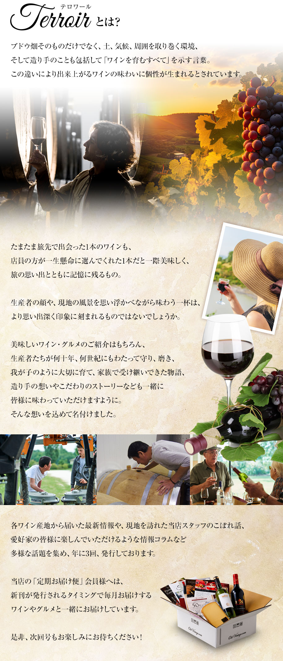 テロワールとは