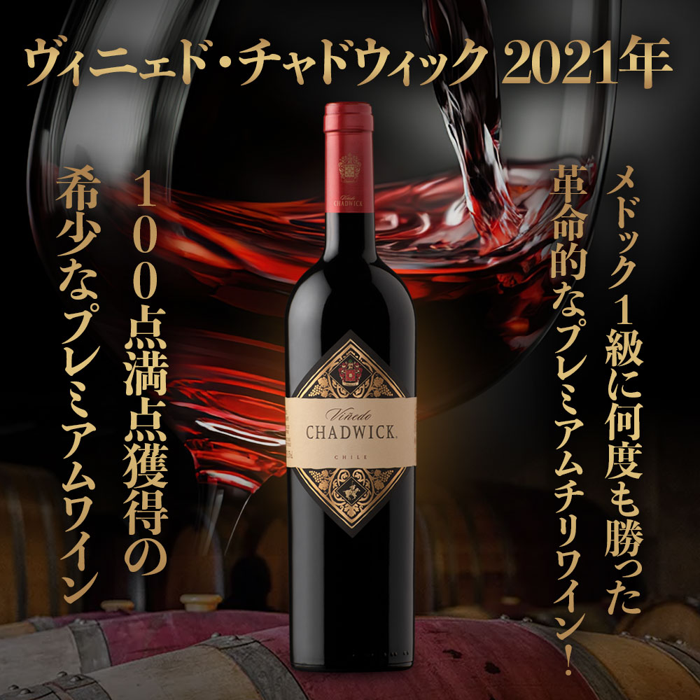 ヴィニェド・チャドウィック【2021】(750ml)