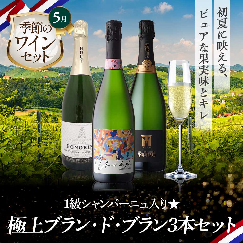 1級シャンパーニュ入り★極上ブラン・ド・ブラン3本セット