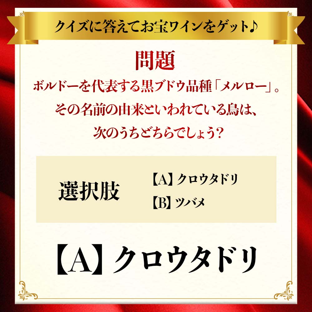 なぞなぞワイン福袋2609(【A】クロウタドリ　※正解だと思う方を選択ください)