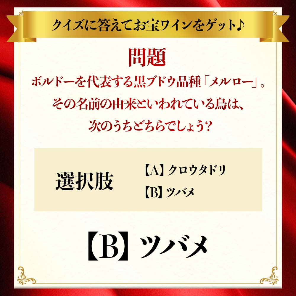 なぞなぞワイン福袋2609(【B】ツバメ　※正解だと思う方を選択ください)
