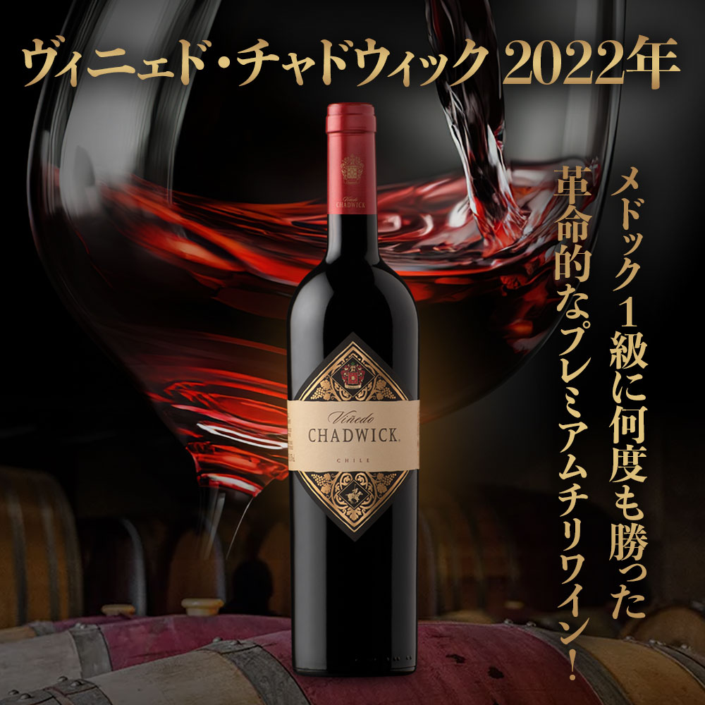 ヴィニェド・チャドウィック【2022】(750ml)