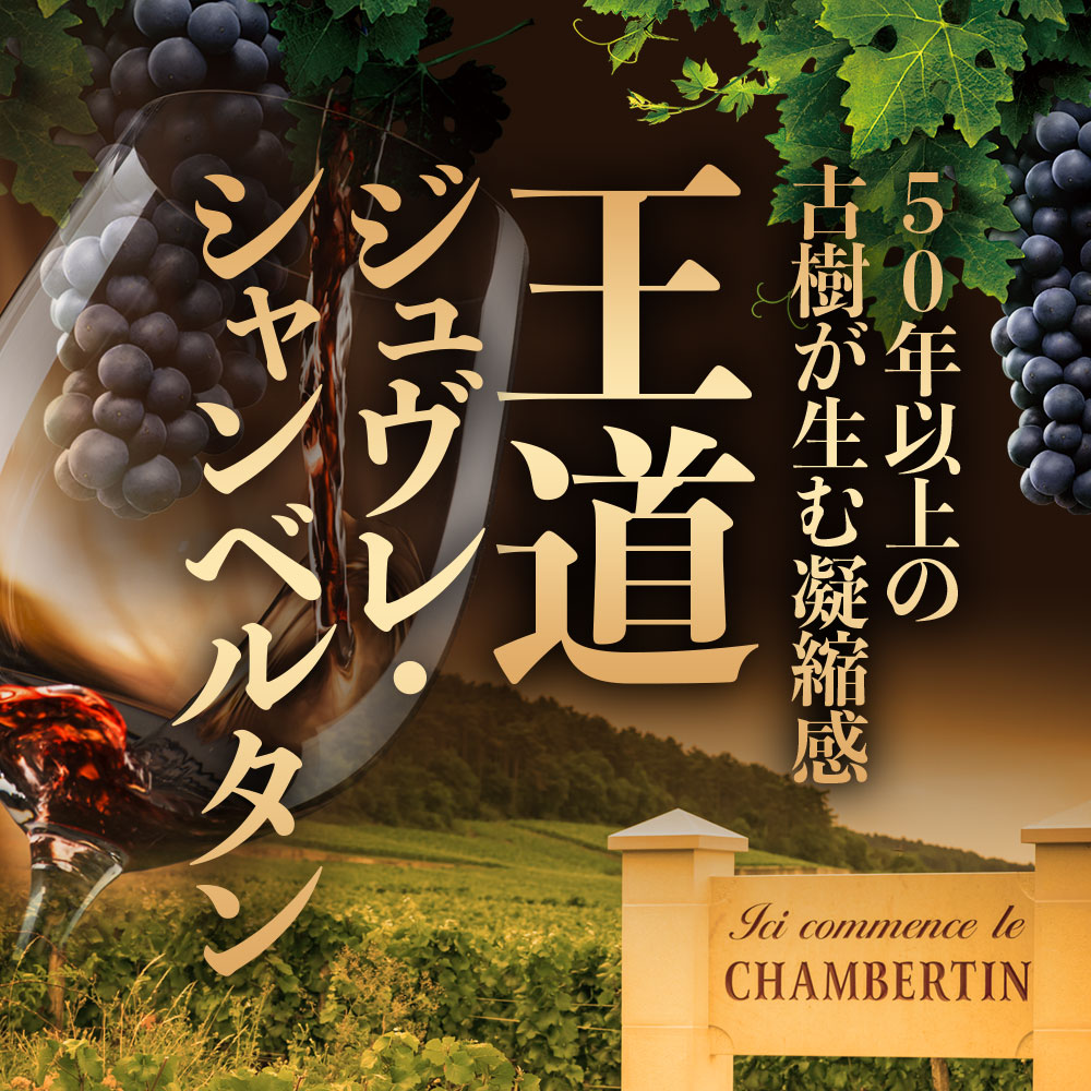 ルネ・タルディ ジュヴレ・シャンベルタン【2022】(750ml)